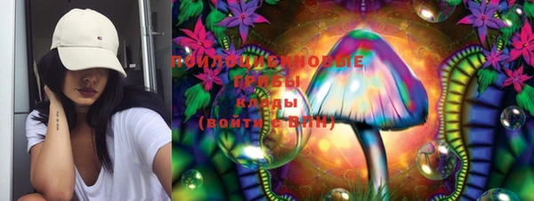 ПСИЛОЦИБИНОВЫЕ ГРИБЫ Алексин