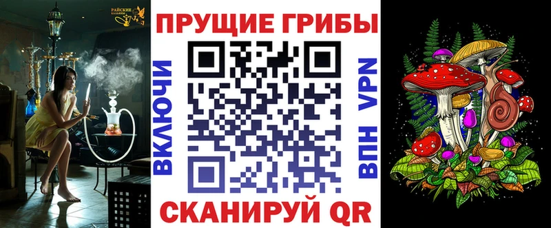 Псилоцибиновые грибы Psilocybe  Бокситогорск 